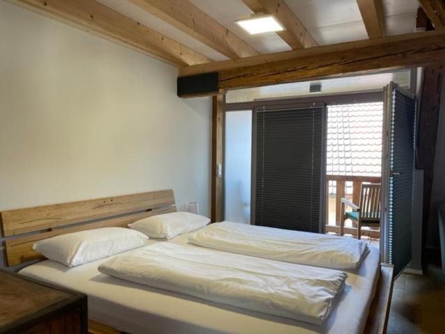 Bodenseehotel Krone & Gaestehaus Bodman-Ludwigshafen Extérieur photo